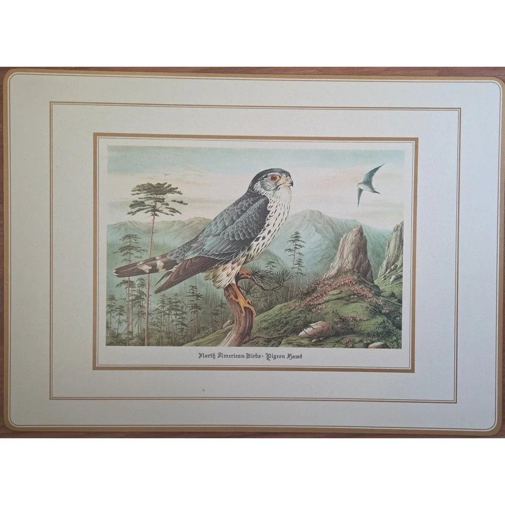 Vintage English Life Place Mats(4) Schmid Brothers-North American Birds of Prey